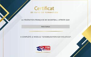 69c3eca5bff18_certificatsensibilisationauxviolencesalexia.JPG
