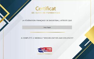 69c3eca6475cd_certificatsensibilisationauxviolencesYves.JPG